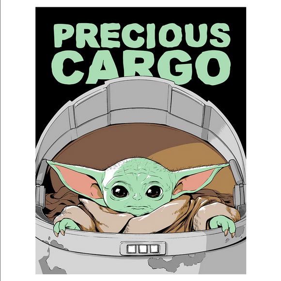 Mandalorian Baby Yoda Soft Blanket Precious Cargo 43.5