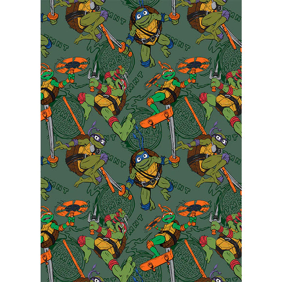 Teenage Mutant Ninja Turtle TMNT Boys Soft Flannel Blanket 50