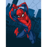 Spider-Man City Swing Baby Raschel Blanket  40" x 50" by Marvel